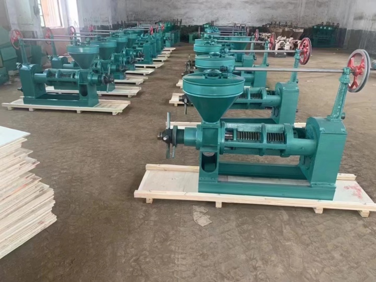 Congo customer orders 200 units of 6YL-100 double screw oil press(图1) Congo customer orders 200 units of 6YL-100 double screw oil press(图1)