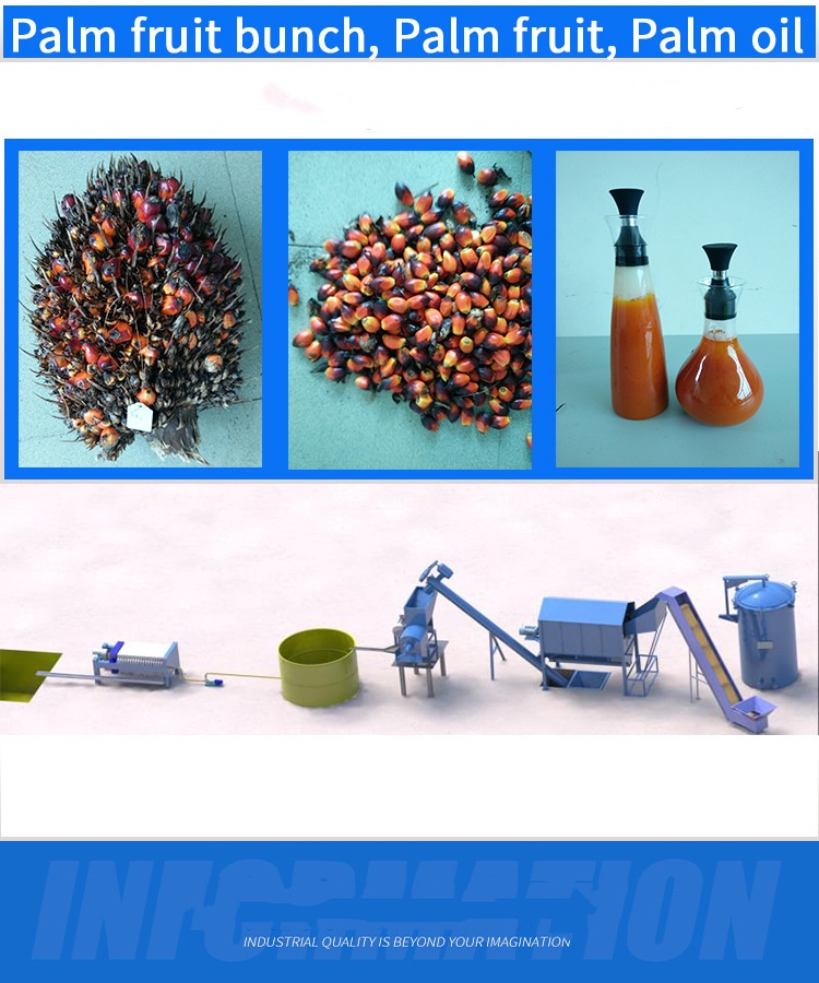 PALM-1 palm fruit oil press(图3) PALM-1 palm fruit oil press(图3)